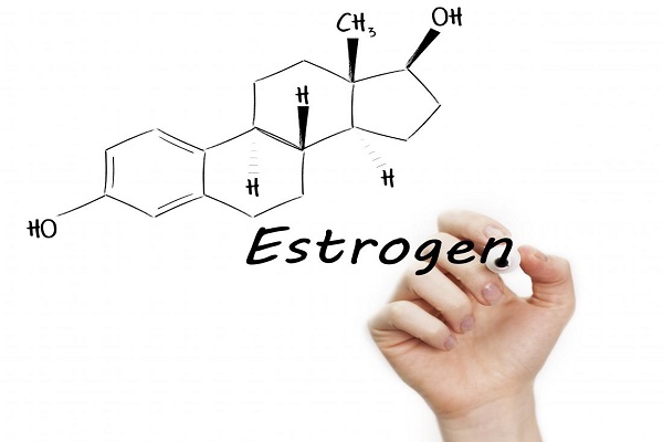 Bổ sung estrogen giúp cân bằng nội tiết tố cho nữ giới 