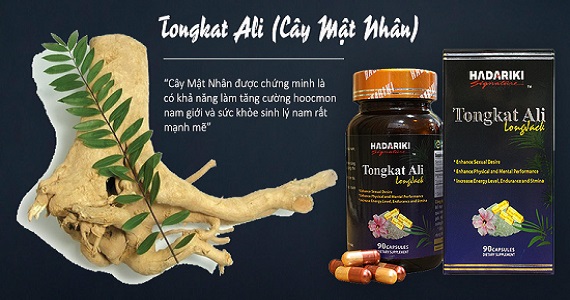 Hadariki Tongkat Ali được bào chế thành phẩm từ cây mật nhân