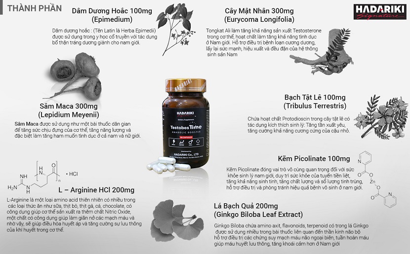 Các thành phần có trong Thuốc bổ thận Hadariki TestobesTime giúp bổ thận tráng dương