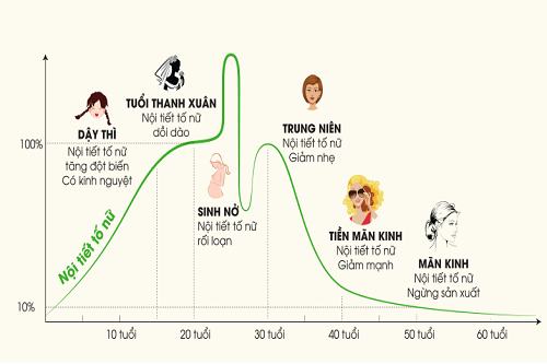 Sự suy giảm estrogen diễn ra theo độ tuổi