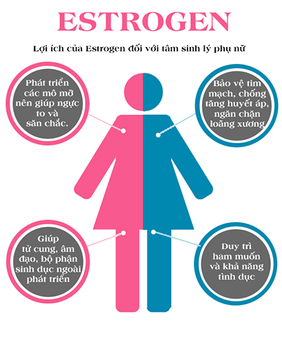 Bổ sung Estrogen là giải pháp điều trị rối loạn nội tiết tố nữ