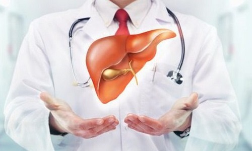 Cải thiện chức năng gan mật nhờ mật nhân