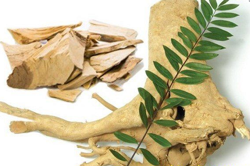 Cây mật nhân được xem là "thần dược" đối với sinh lý nam