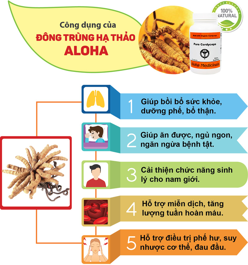 Công dụng đông trùng hạ thảo Aloha