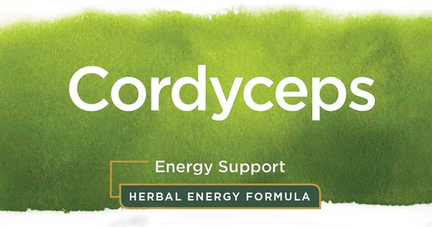 Swanson Cordyceps bổ sung dinh dưỡng, tăng cường sức khỏe