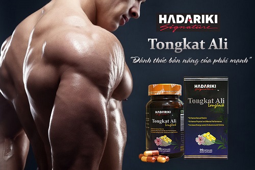Hadariki Tongkat Ali kích thích sản sinh Testosterone nội sinh