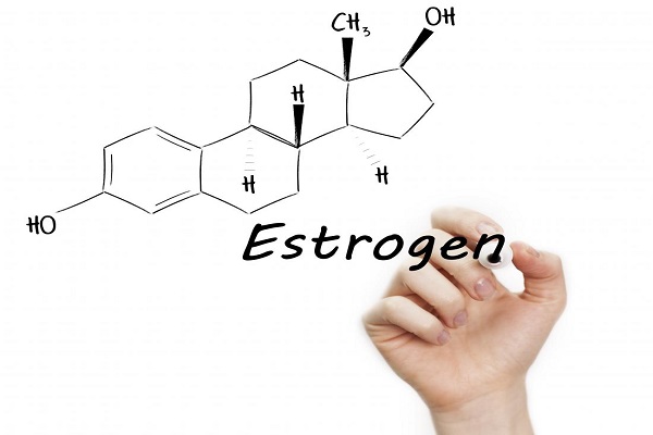 Bổ sung estrogen giúp cân bằng nội tiết tố cho nữ giới