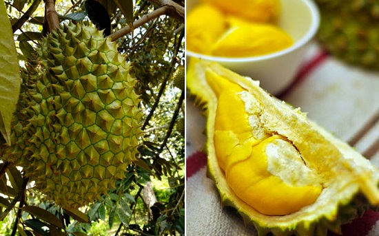 Sầu riêng có vô vàn những công dụng hữu ích với sức khỏe
