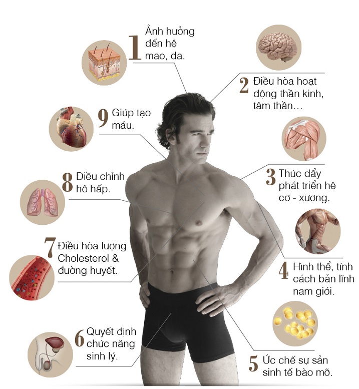 Ưu tiên lựa chọn các dòng sản phẩm có bổ sung Testosterone