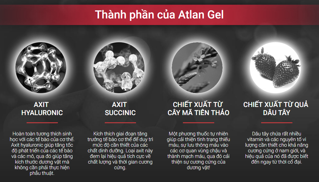 Thành phần có trong Gel bôi trơn Atlant của Hendel Nga