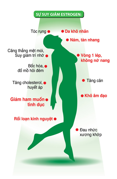 Vai trò của estrogen đối với sức khỏe nữ giới