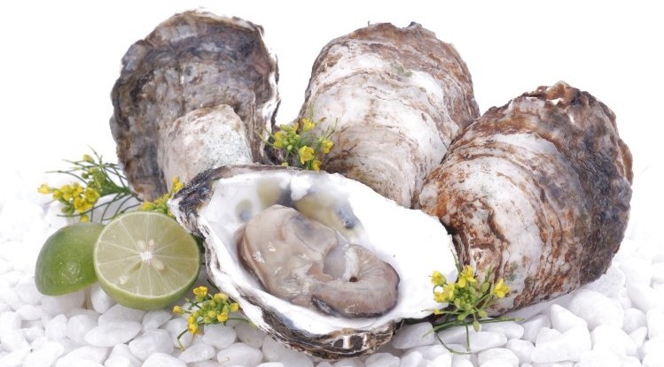 Hàu tươi Nhật Bản chứa nhiều kẽm nhất thế giới