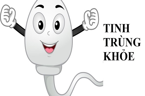 Tinh trùng khỏe khi cơ thể được bổ sung kẽm đầy đủ