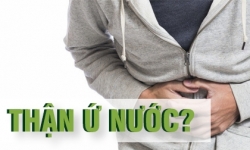Bệnh thận ứ nước, thận ứ nước có nguy hiểm không?