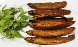 Cá chạch vũ khí bí mật giúp nam giới tạm biệt nỗi lo yếu sinh lý