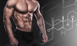 [Chia sẻ] 5 cách làm tăng Testosterone tự nhiên tốt nhất 2020 cho nam giới
