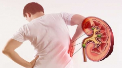 Dấu hiệu cảnh báo chức năng thận suy giảm