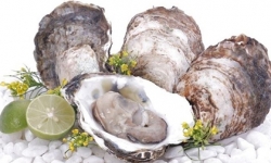 Giải mã những công dụng thần kỳ mà hàu biển mang đến cho khả năng sinh lý nam giới