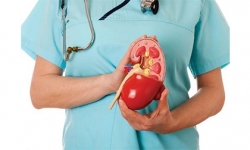 Hội chứng thận hư là gì ? Giải pháp điều trị bệnh thận hư hiệu quả