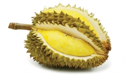 Sầu riêng bài thuốc dễ tìm giúp bổ thận tráng dương cho nam giới