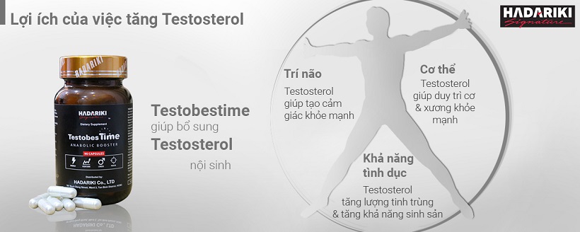 Thuốc bổ thận Hadariki TestobesTime giúp tăng cường sản sinh Testosterone nội sinh